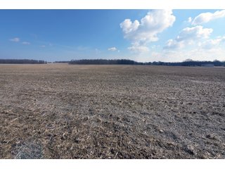 TRACTS 4-5 - MAJOR LAND AUCTION - 719+/- ACRES OFFERED IN 14 TRACTS IN ALLEN COUNTY, OHIO